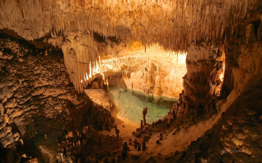 Coves del Drac
