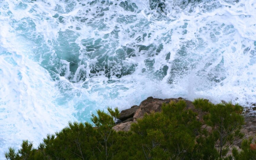 wildes Meer Costa de los Pinos