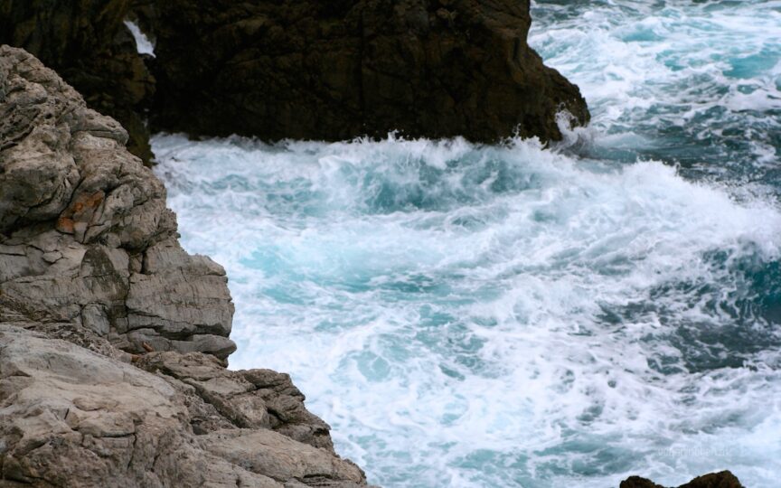mein geliebtes wildes Meer