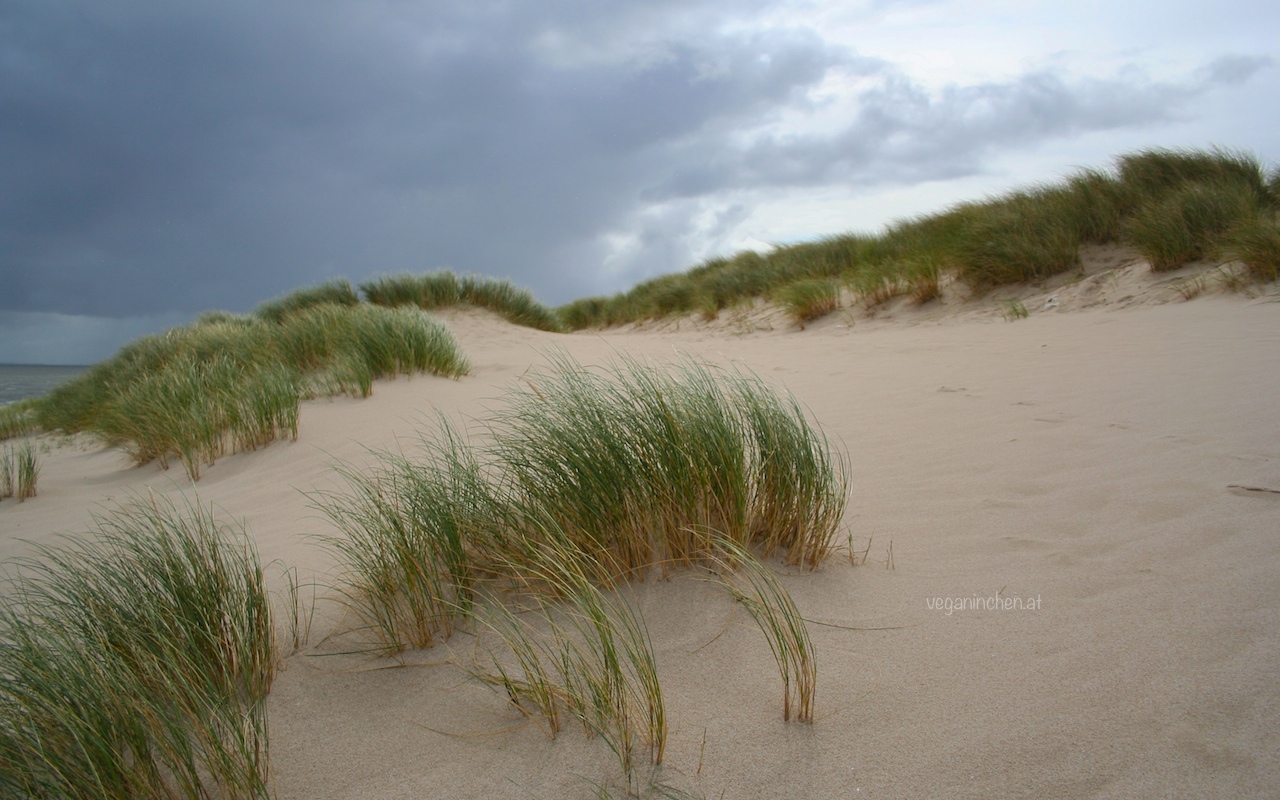 sylt