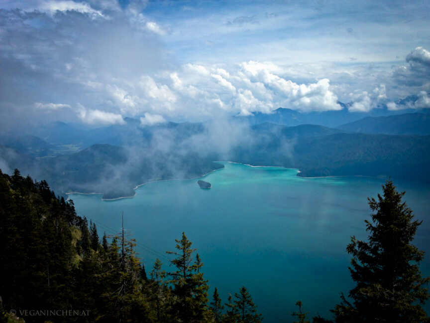 Walchensee, Herzogstandbahn