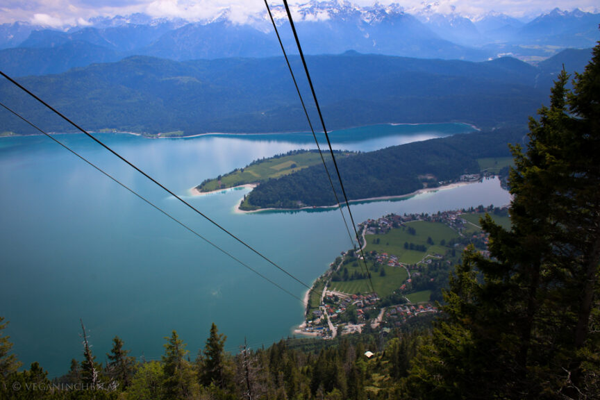 Walchensee, Herzogstandbahn