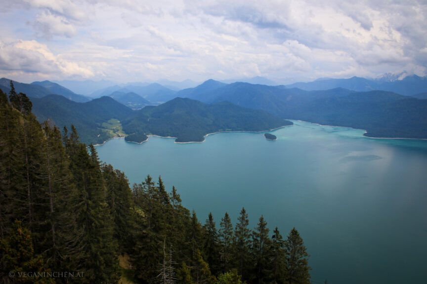 Walchensee, Herzogstandbahn
