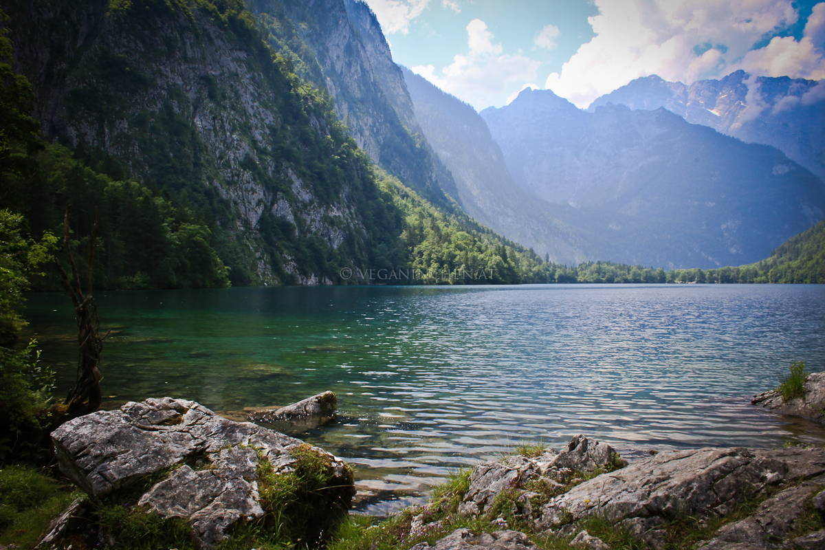 obersee-10