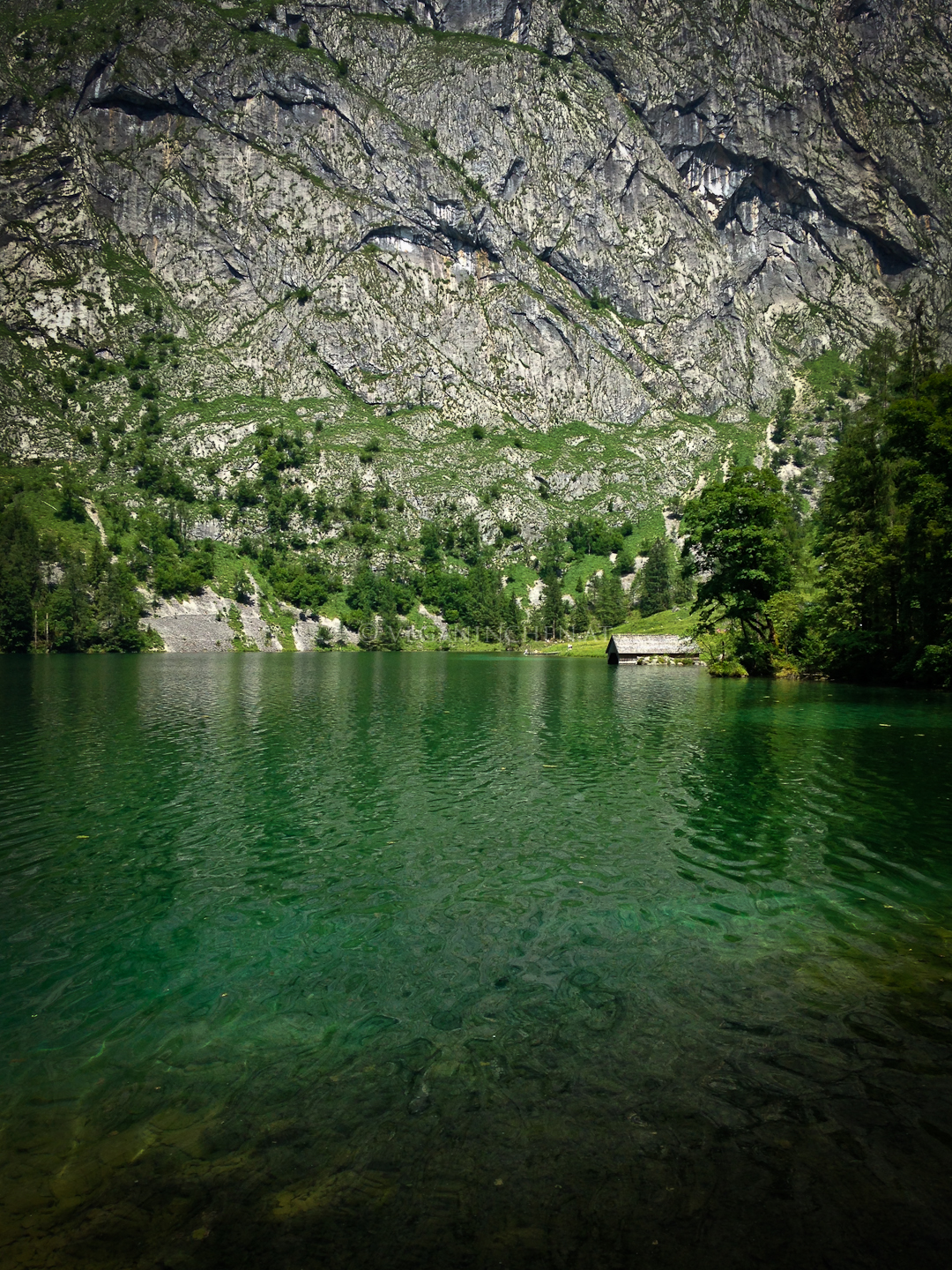 obersee-11