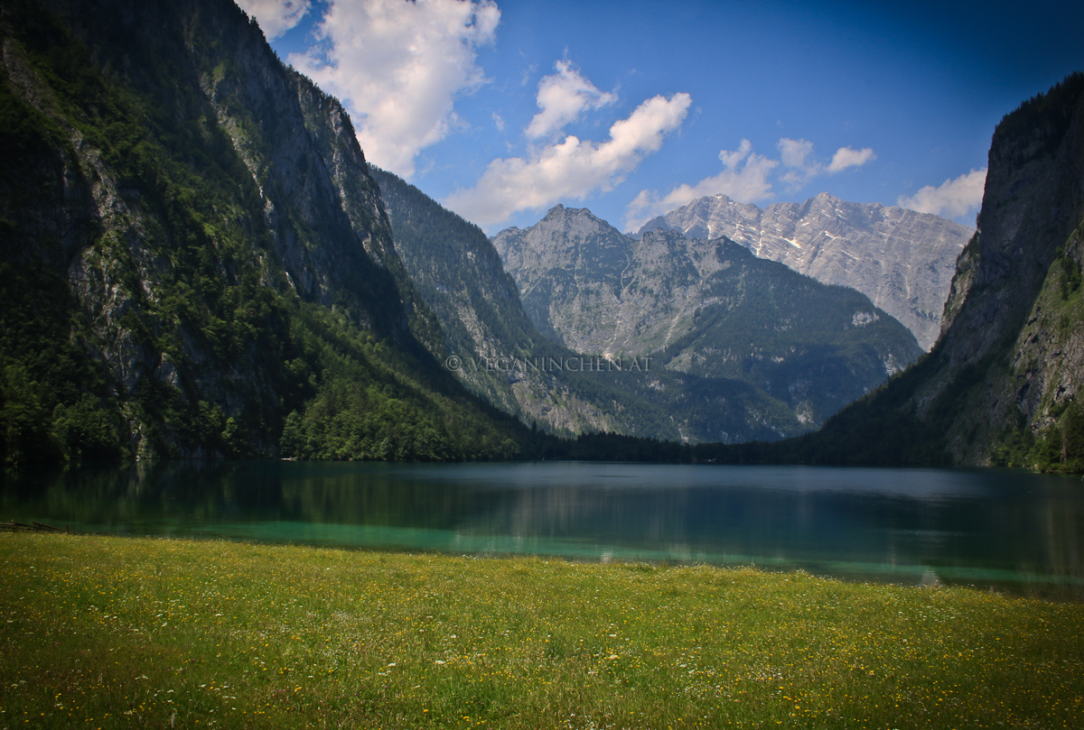 obersee-7