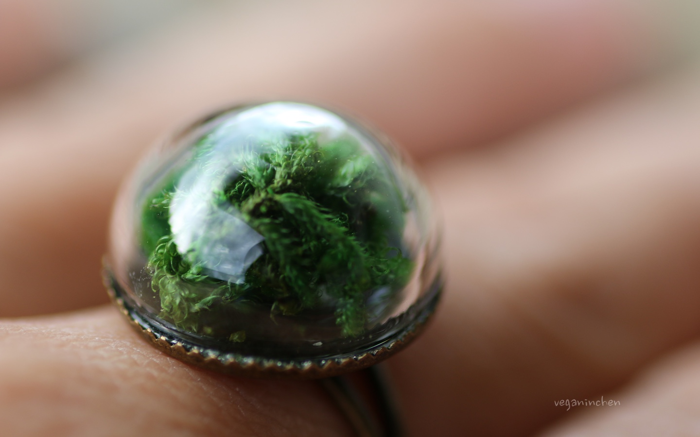 Ring Moos