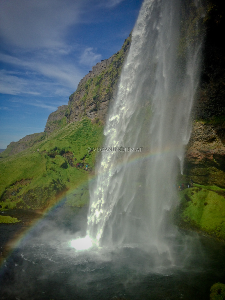 Seljalandsfoss