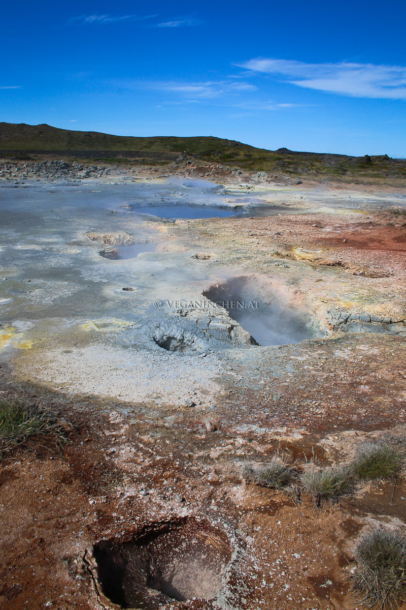 Geothermalgebiet Gunnuhver