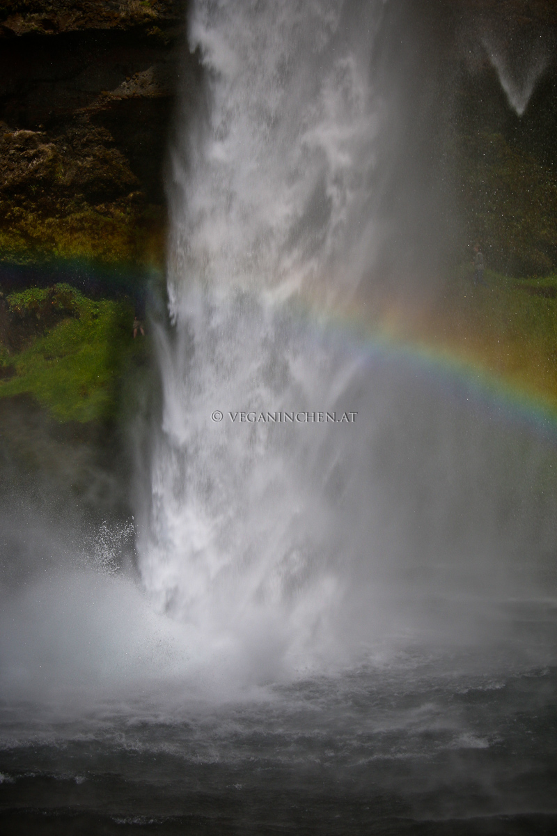 Seljalandsfoss