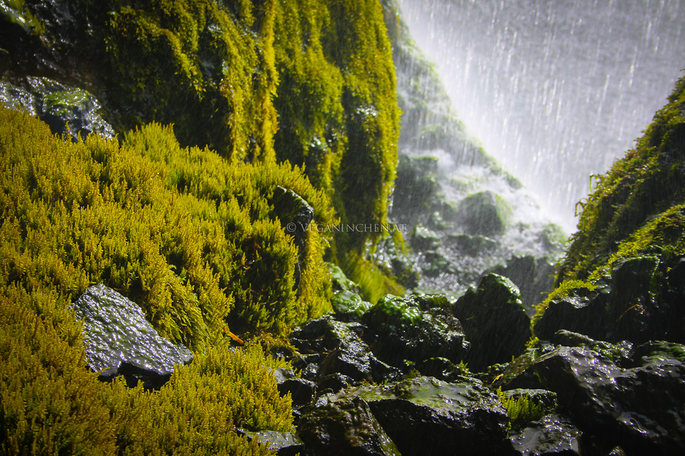 Seljalandsfoss