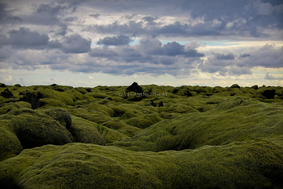 Eldhraun, Island