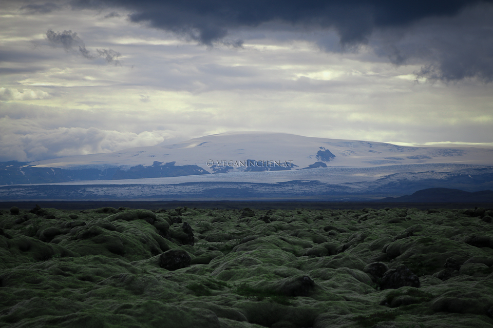 Eldhraun mit Katla, Island