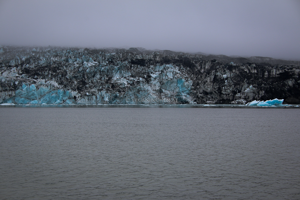 Jökulsárlón Breiðamerkurjökull