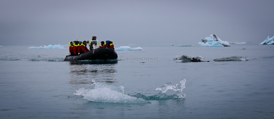 Jökulsárlón Zodiac Boat