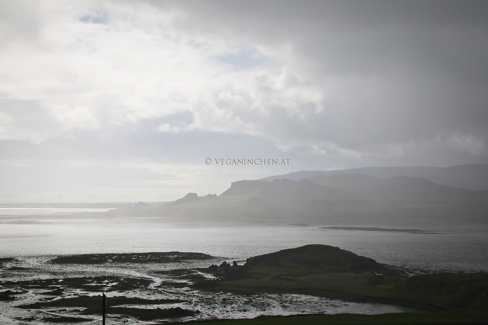 Westfjorde Island veganinchen