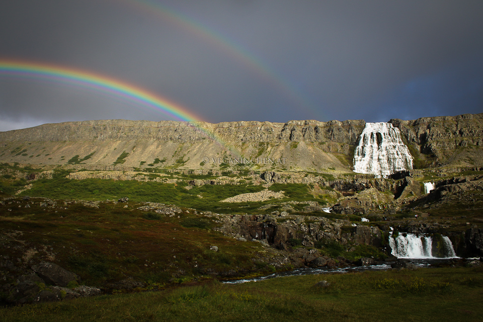 Regenbogen Dynjandi Westfjorde Island veganinchen