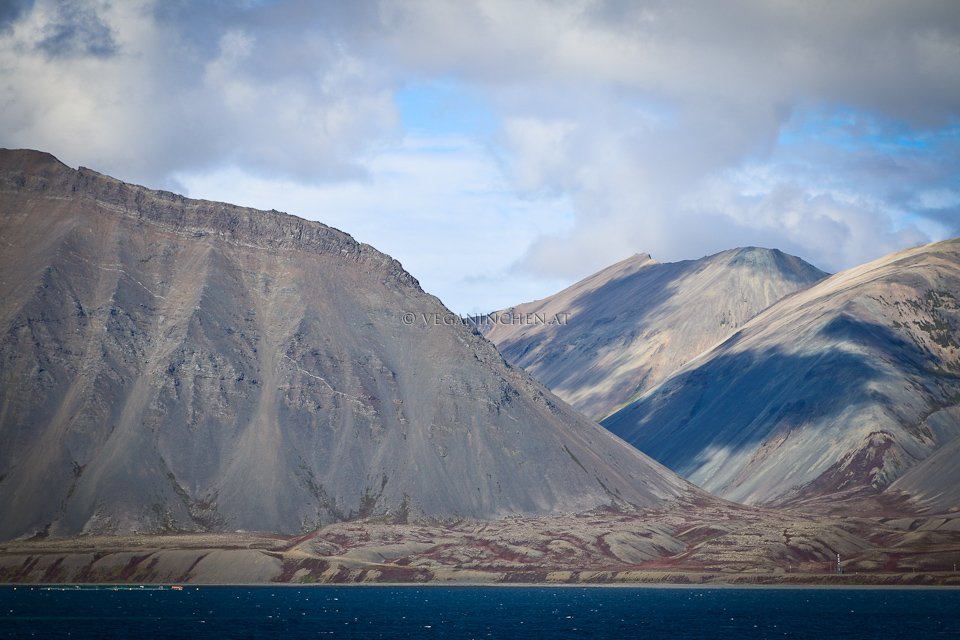 Westfjorde Island veganinchen