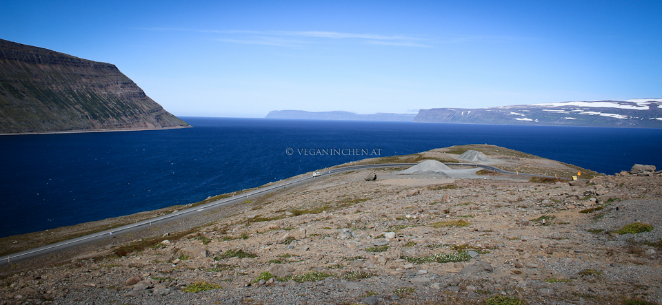 Westfjorde Island veganinchen