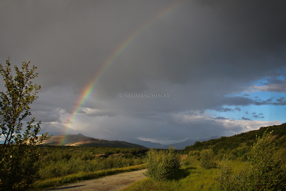 Regenbogen Island veganinchen