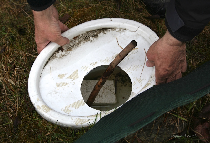 amphibien sellrain tirol