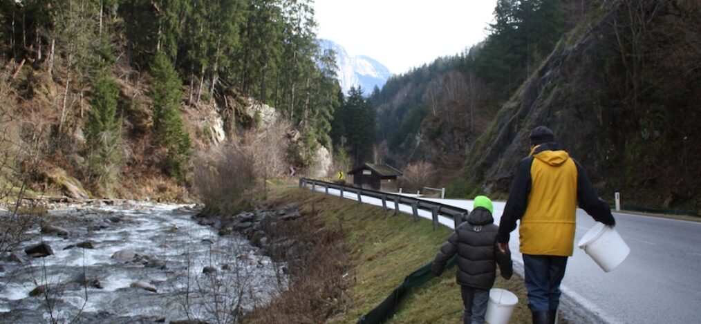 amphibien sellrain tirol