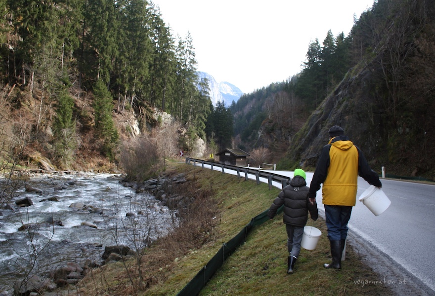amphibien sellrain tirol