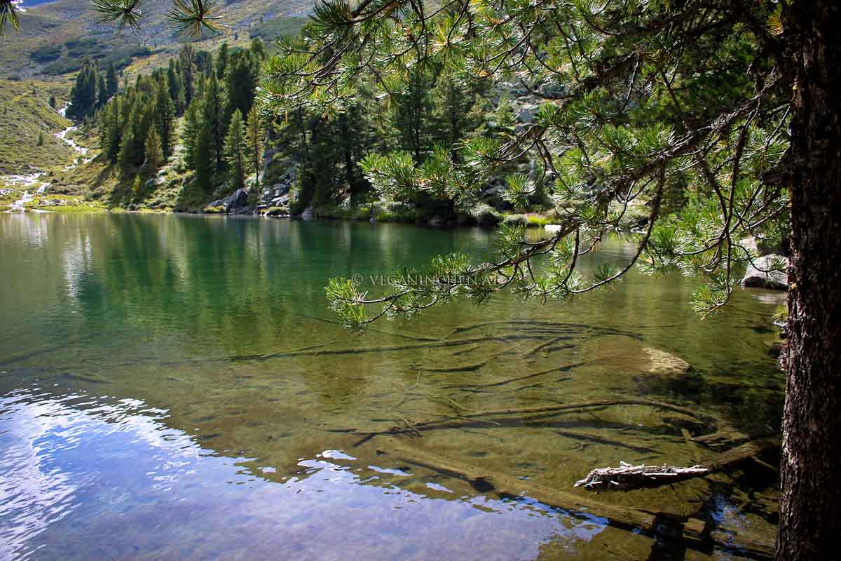 Pochersee