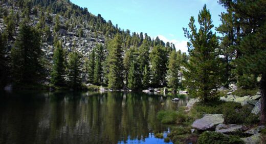 Pochersee veganinchen