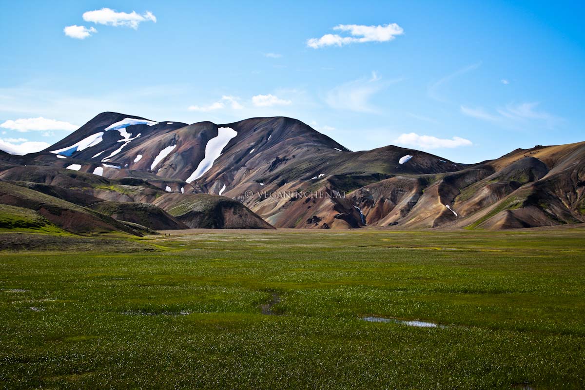 Landmannalaugar veganinchen