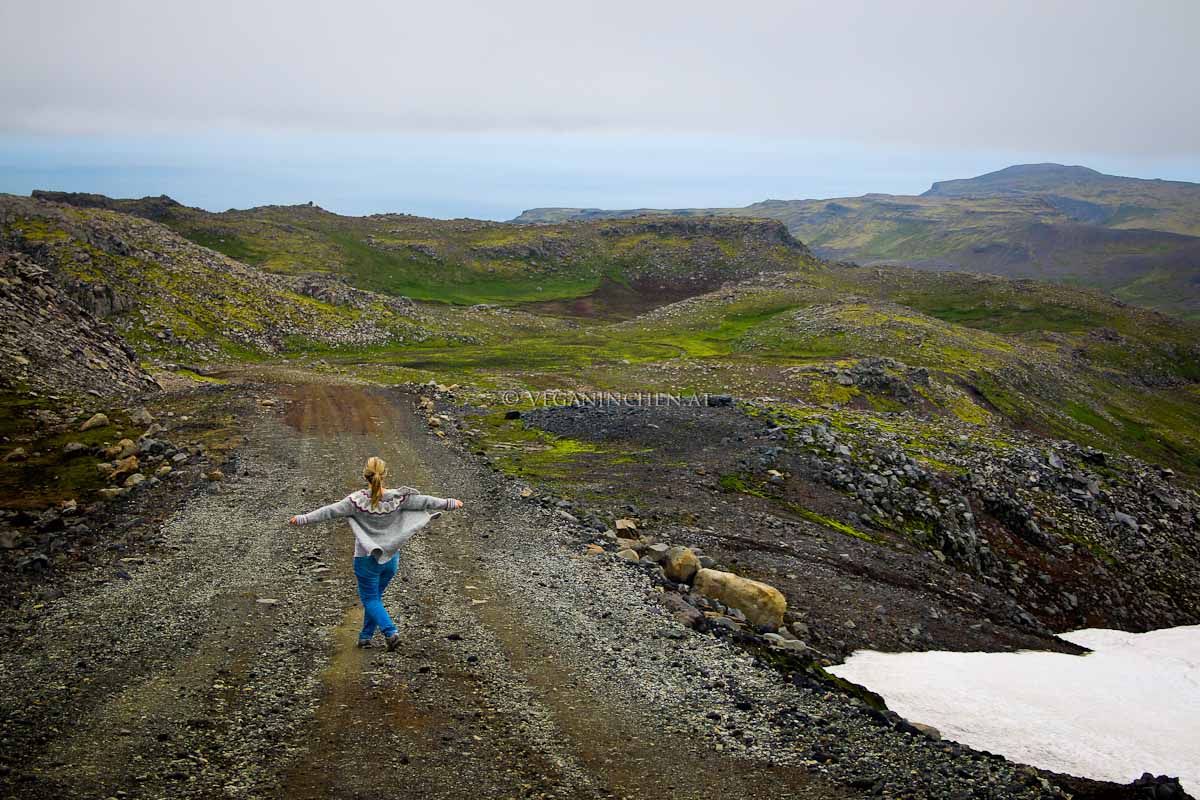 snaefellsjökull