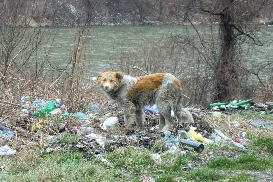 Xena in Sarajevo