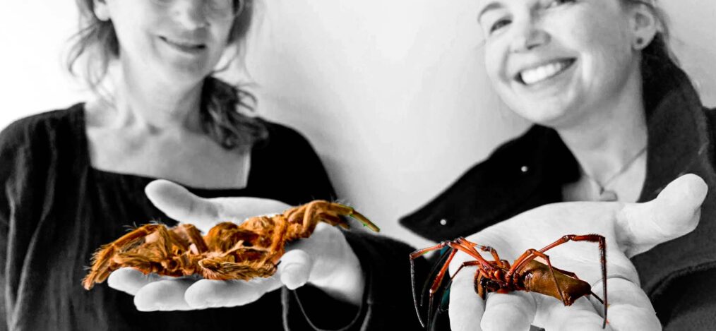 Barbara Thaler Knoflach Christina Prechtl veganinchen