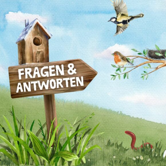 Fragen und Antworten